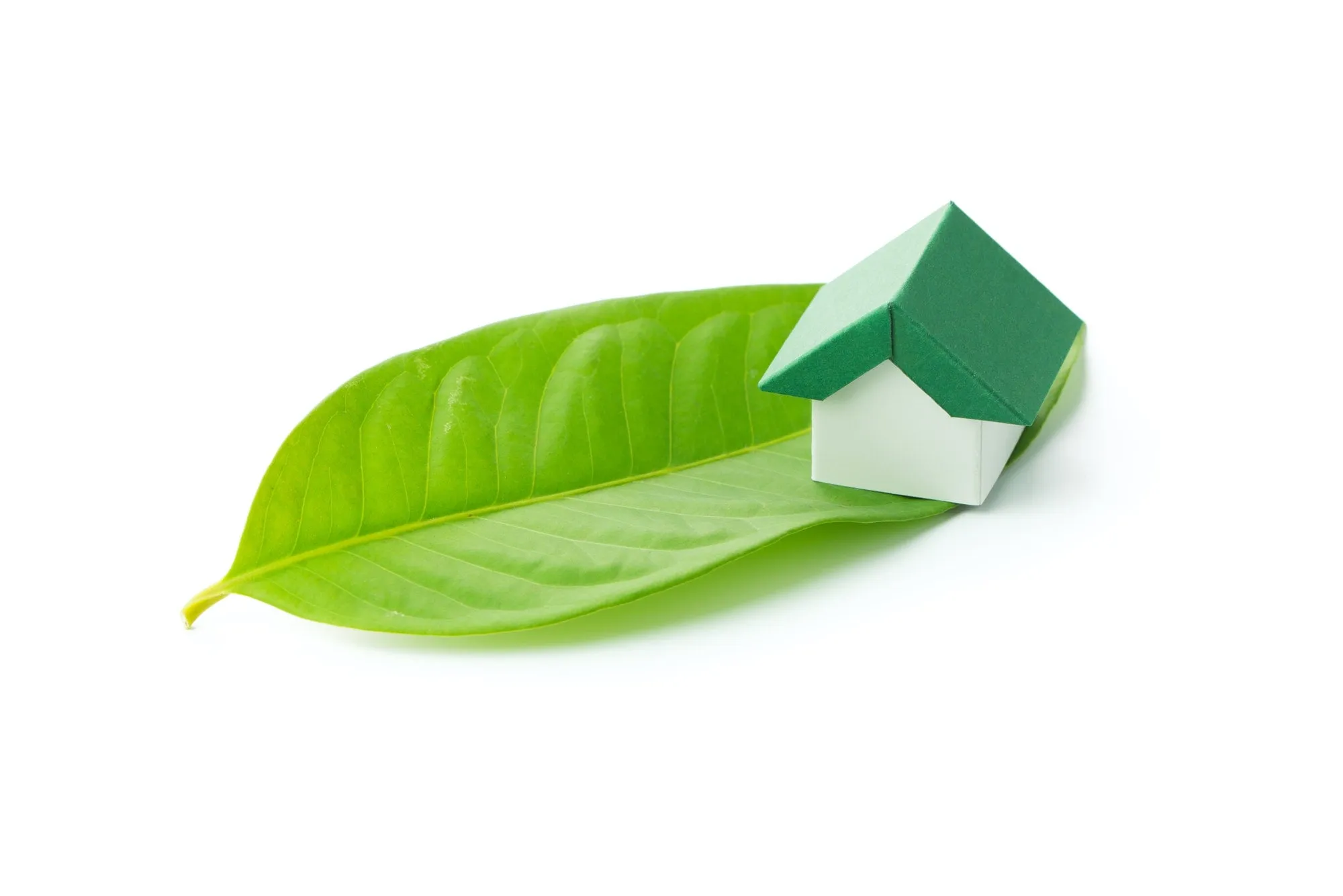 développement durable & RSE